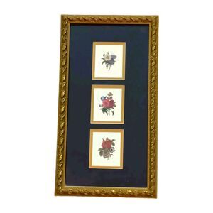 Vintage Flower Trio Prints Matted And Framed Dark Blue Background Gold Frame 15"
